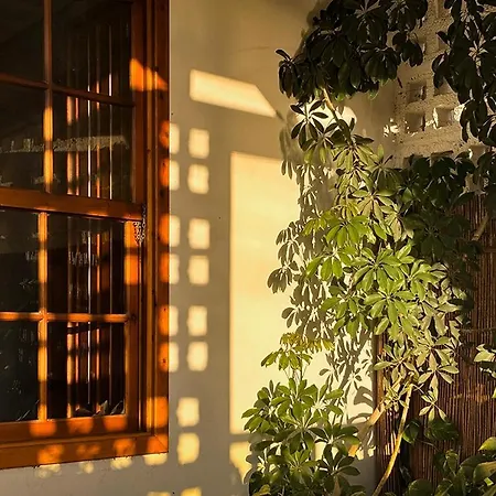 Casa Morros